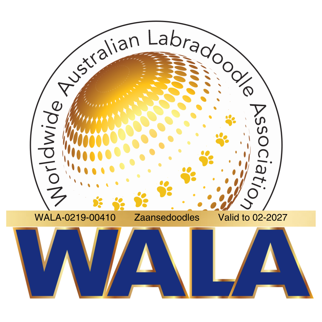 Wala logo